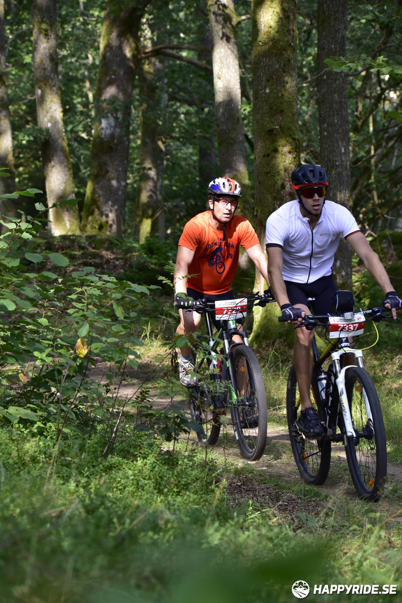 Bild från Bockstensturen 2019